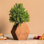 Hexagon Planter - Image 3